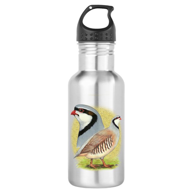 Chukar Partridge Combo Stainless Steel Water Bottle (Front)