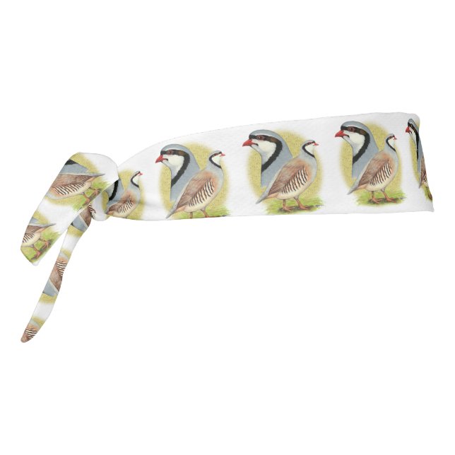 Chukar Partridge Combo Tie Headband (Rotate 270)