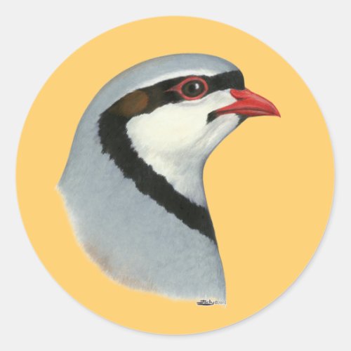 Chukar  Partridge Head Classic Round Sticker