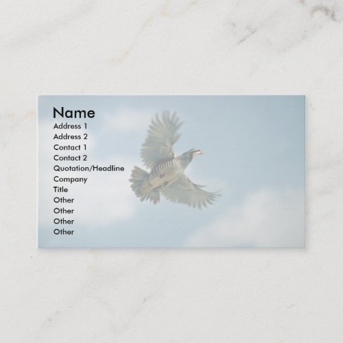 Chukar partridge in flight business card
