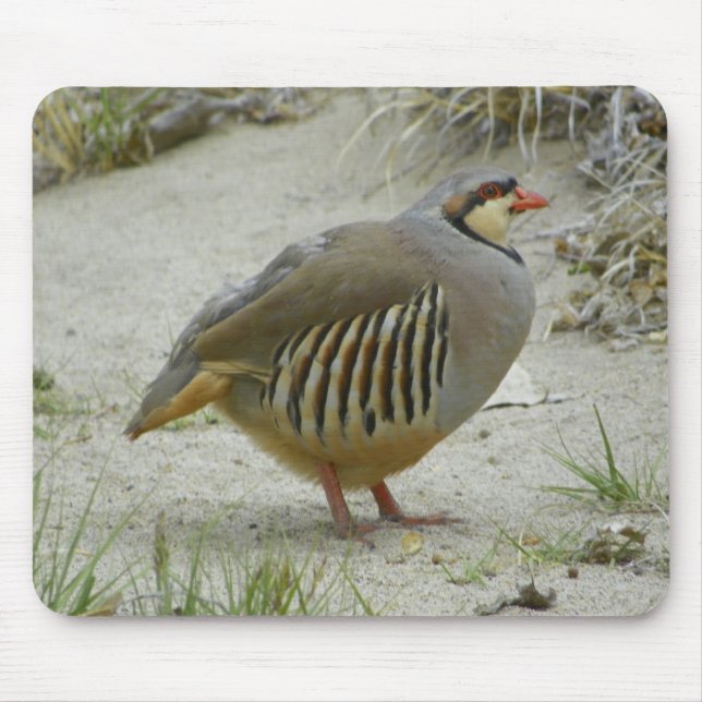Chukar Partridge Mouse Pad (Front)