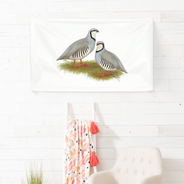 Chukar Partridge Pair Banner (Insitu)