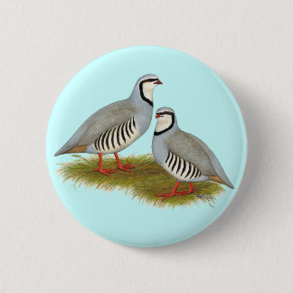 Chukar Partridge Pair Button