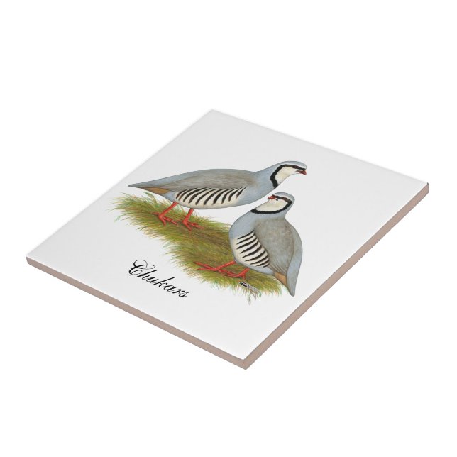 Chukar Partridge Pair Ceramic Tile (Side)