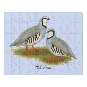Chukar Partridge Pair Jigsaw Puzzle