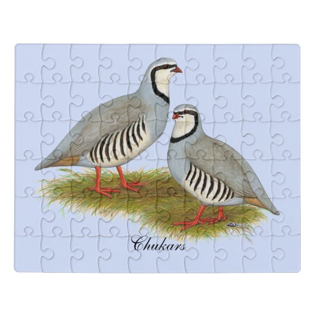Chukar Partridge Pair Jigsaw Puzzle (Puzzle Horizontal)
