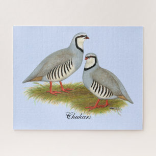 Chukar Partridge Pair Jigsaw Puzzle
