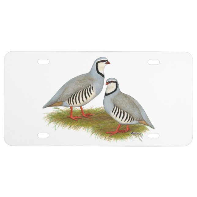 Chukar Partridge Pair License Plate (Front)