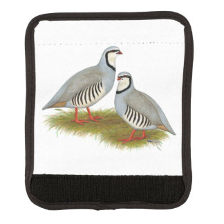 Chukar Partridge Pair Luggage Handle Wrap
