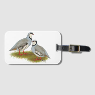 Chukar Partridge Pair Luggage Tag