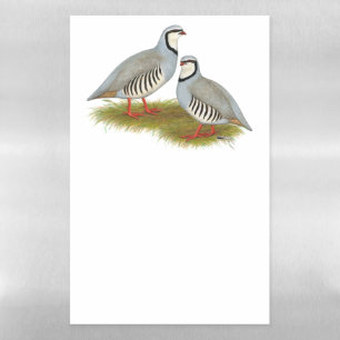 Chukar Partridge Pair Magnetic Dry Erase Sheet