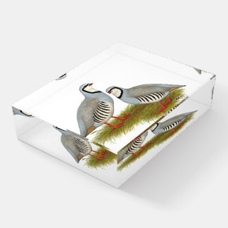 Chukar Partridge Pair Paperweight