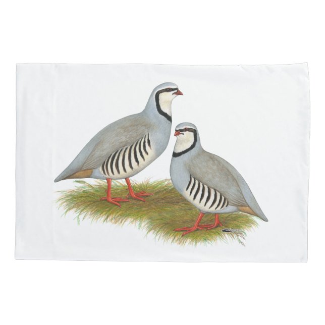 Chukar Partridge Pair Pillow Case (Back)