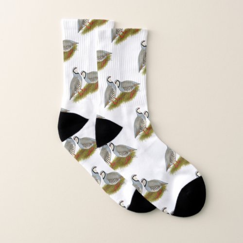 Chukar Partridge Pair Socks