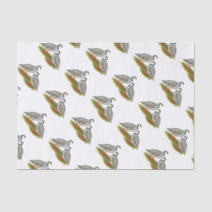Chukar Partridge Pair Tissue Paper