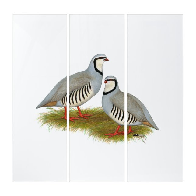 Chukar Partridge Pair Triptych (Front)