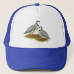 Chukar Partridge Pair Trucker Hat