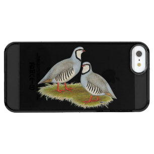Chukar Partridge Pair Clear iPhone SE/5/5s Case