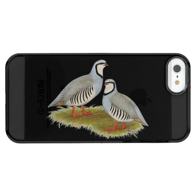 Chukar Partridge Pair Uncommon iPhone Case (Back Horizontal)