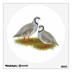 Chukar Partridge Pair Wall Decal