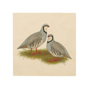 Chukar Partridge Pair Wood Wall Art