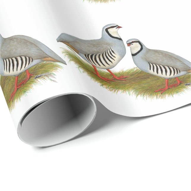 Chukar Partridge Pair Wrapping Paper (Roll Corner)