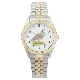 Chukar Partridge Watch