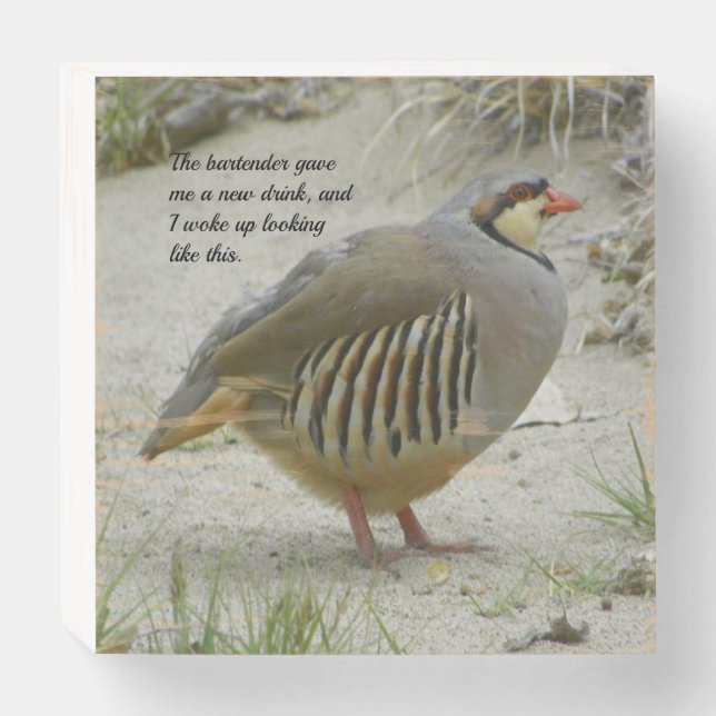 Chukar Partridge Wooden Box Sign (Front Horizontal)