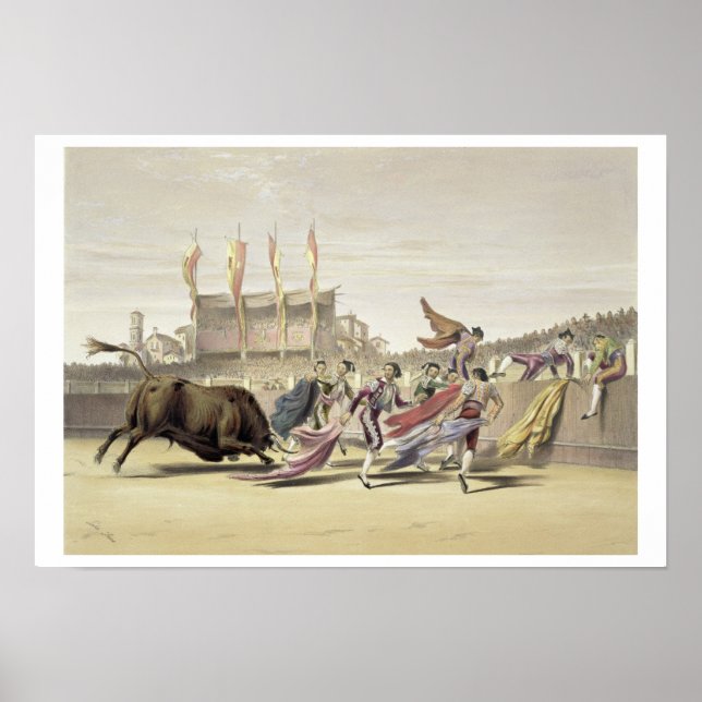 Chulos Playing the Bull, 1865 (colour litho) Poster (Front)