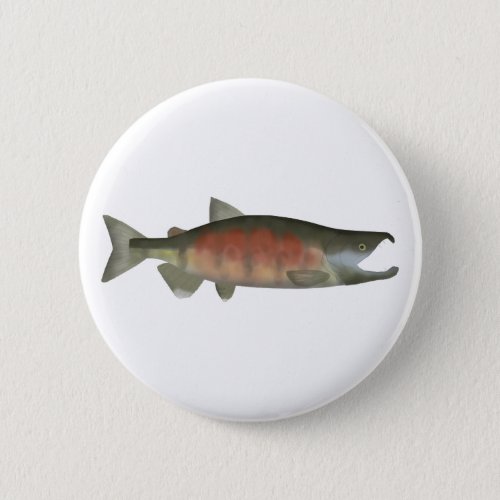 Chum Salmon _ Spawn Phase Button