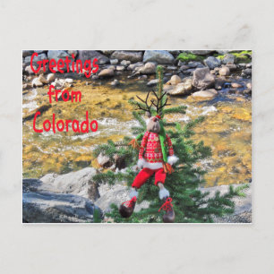 "Chump Christmas" Postcards