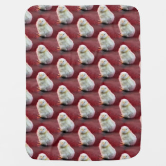 Chunky Chicky Baby Blanket