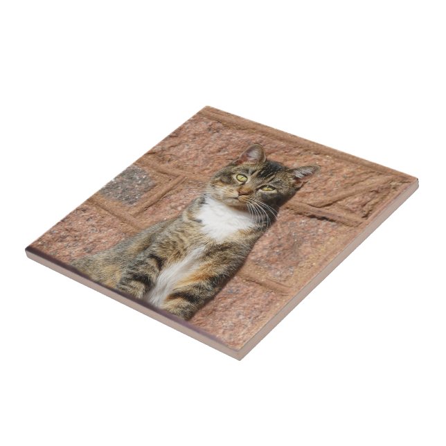 Church Cat Ceramic Tile (Side)