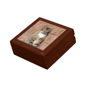 Church Cat Gift Box
