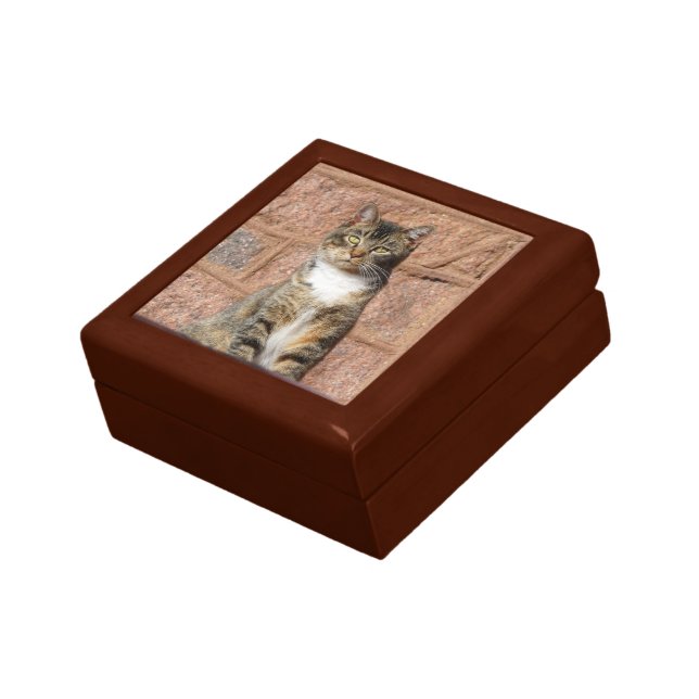 Church Cat Gift Box (Side)