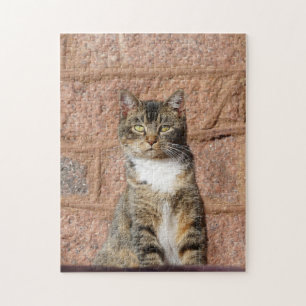 Church Cat Jigsaw Puzzle
