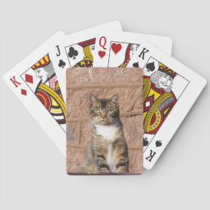 Church Cat Poker Cards