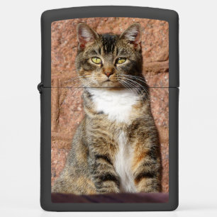 Church Cat Zippo Lighter