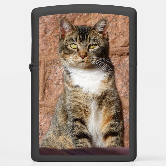 Church Cat Zippo Lighter (Front)