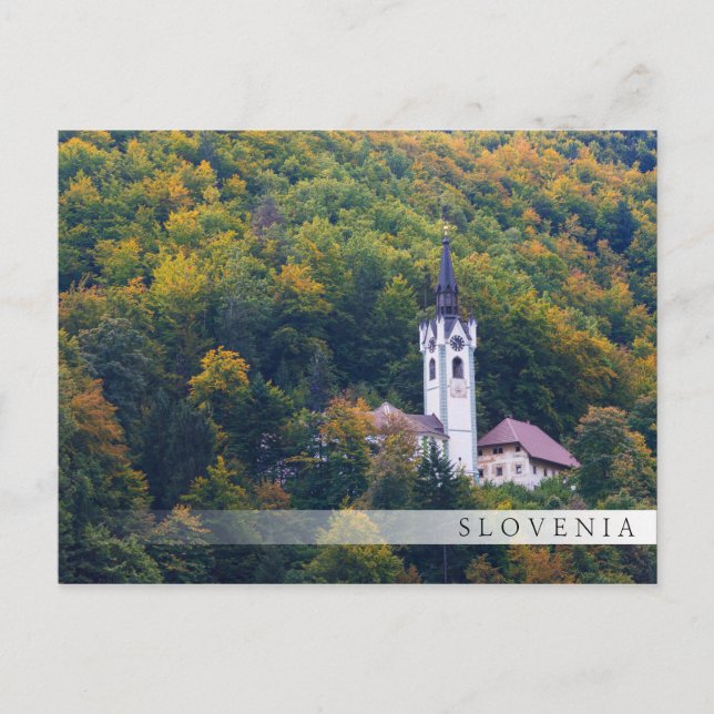 Church in a fall forest in Slovenia Postcard (Front)