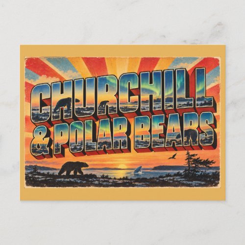 Churchill Polar Bears Tundra Aurora Art Postcard