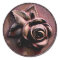Churchyard Rose