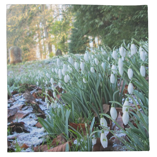 Churchyard Snowdrops in Light Snow - Cloth Napkin (Front)