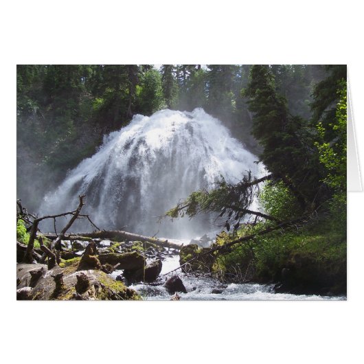 Chush Falls Cards (Front Horizontal)