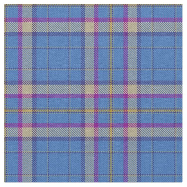Ciam of Ely Clan Tartan Fabric (Close Up)