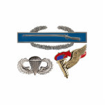 CIB Airborne Pathfinder Cutout<br><div class="desc">Original photo of the Combat Infantry Badge (CIB),  Airborne wings and Pathfinder badge with blue flame</div>