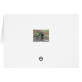 Cicada (Back Horizontal)