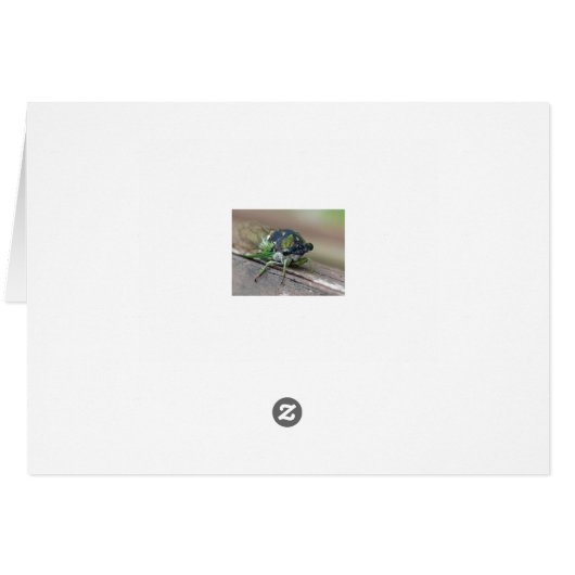 Cicada (Back Horizontal)