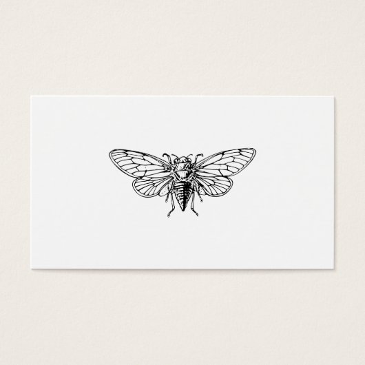 Cicada (Front)