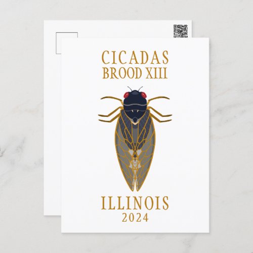 Cicada Brood XIII ILLINOIS 2024 Custom Text Postcard